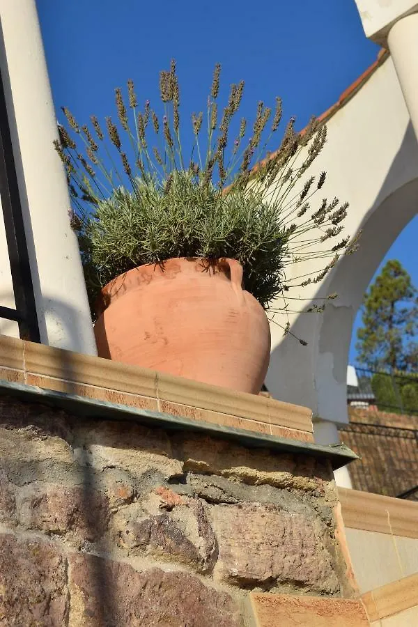 Villas And Suites La Coraillere Resort Theoule-sur-Mer